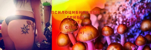 мдма Белокуриха