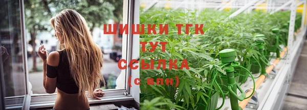 гидра Богородицк