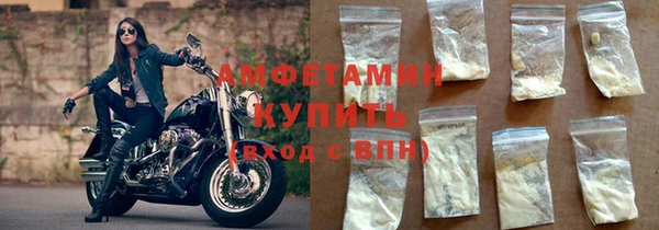 гидра Богородицк